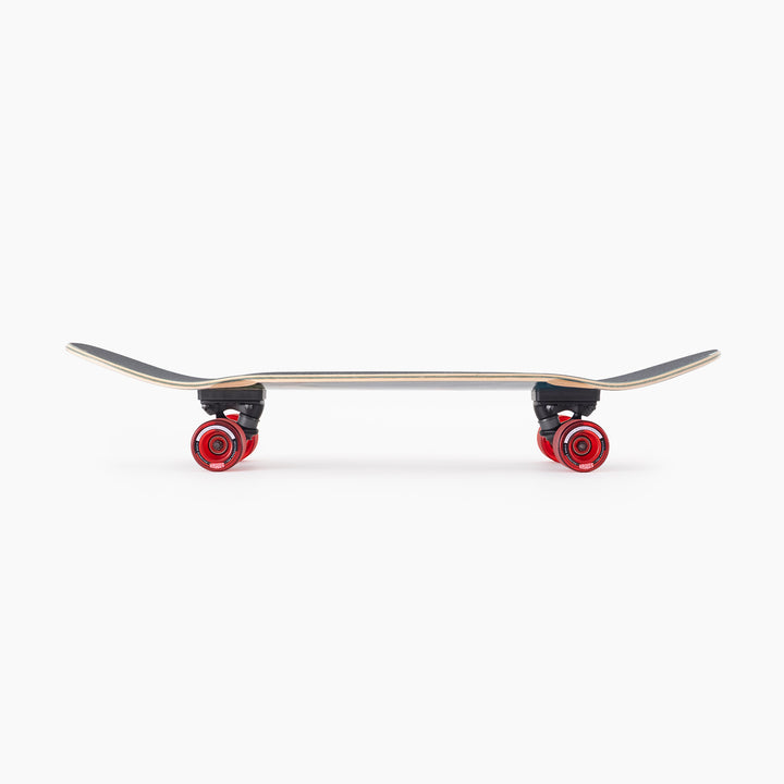 Patineta Landyachtz Raft Trout 9.9" X 32.5"